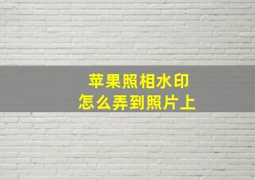 苹果照相水印怎么弄到照片上