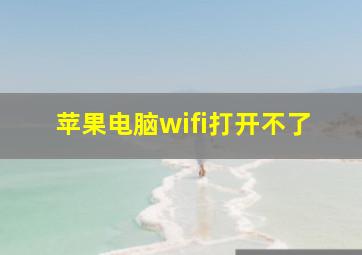 苹果电脑wifi打开不了