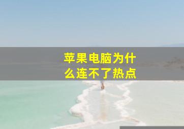 苹果电脑为什么连不了热点