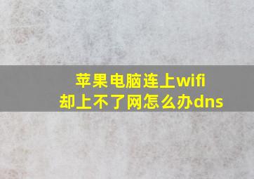 苹果电脑连上wifi却上不了网怎么办dns