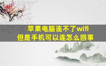 苹果电脑连不了wifi但是手机可以连怎么回事