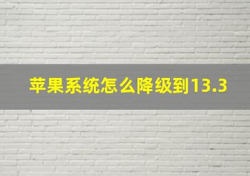 苹果系统怎么降级到13.3