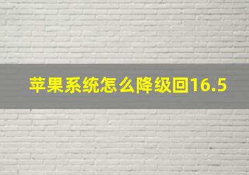 苹果系统怎么降级回16.5