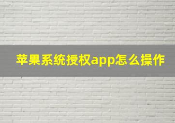 苹果系统授权app怎么操作