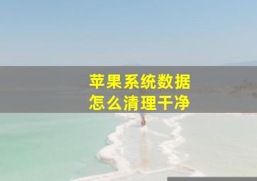 苹果系统数据怎么清理干净