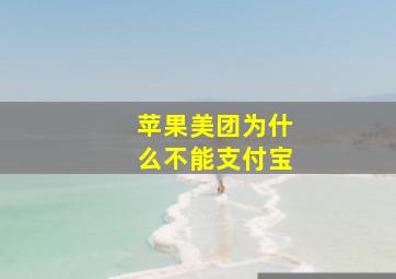 苹果美团为什么不能支付宝