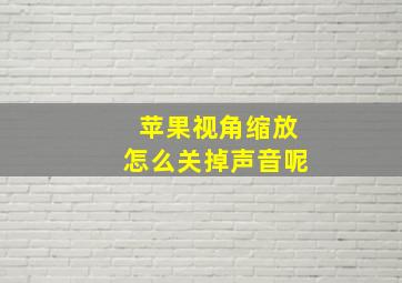 苹果视角缩放怎么关掉声音呢