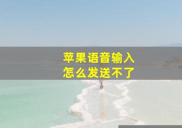 苹果语音输入怎么发送不了