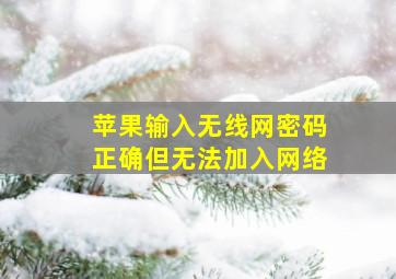 苹果输入无线网密码正确但无法加入网络