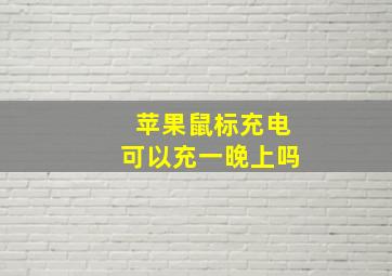 苹果鼠标充电可以充一晚上吗