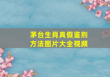 茅台生肖真假鉴别方法图片大全视频