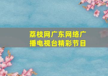 荔枝网广东网络广播电视台精彩节目