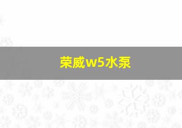 荣威w5水泵