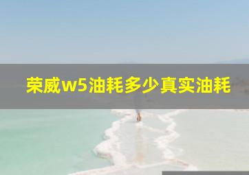 荣威w5油耗多少真实油耗