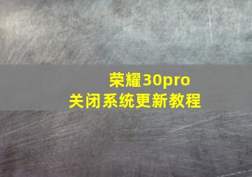 荣耀30pro关闭系统更新教程