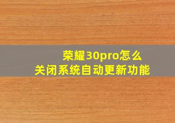 荣耀30pro怎么关闭系统自动更新功能