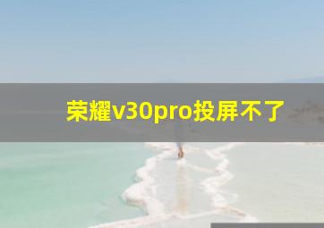 荣耀v30pro投屏不了