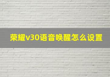 荣耀v30语音唤醒怎么设置