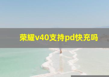 荣耀v40支持pd快充吗