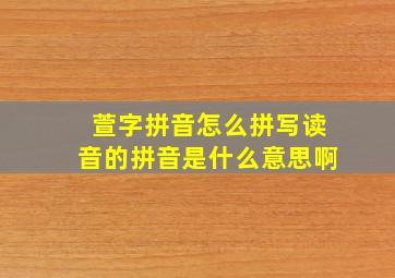 萱字拼音怎么拼写读音的拼音是什么意思啊