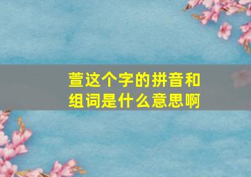 萱这个字的拼音和组词是什么意思啊