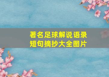 著名足球解说语录短句摘抄大全图片