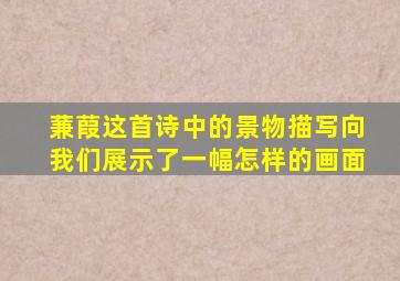 蒹葭这首诗中的景物描写向我们展示了一幅怎样的画面