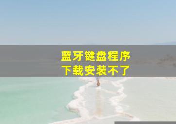 蓝牙键盘程序下载安装不了