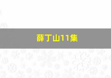 薛丁山11集