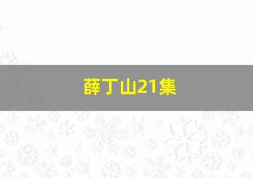 薛丁山21集