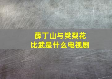 薛丁山与樊梨花比武是什么电视剧