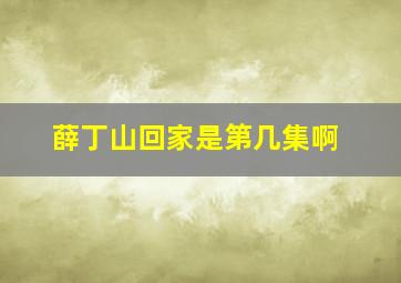 薛丁山回家是第几集啊