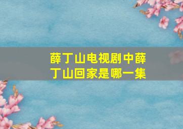 薛丁山电视剧中薛丁山回家是哪一集