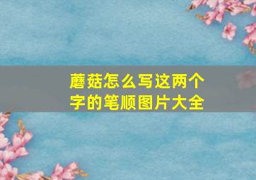 蘑菇怎么写这两个字的笔顺图片大全