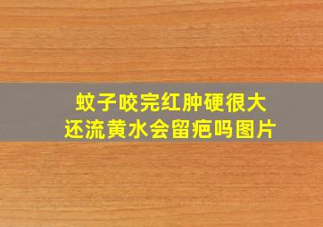 蚊子咬完红肿硬很大还流黄水会留疤吗图片