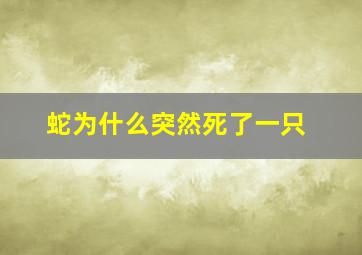 蛇为什么突然死了一只