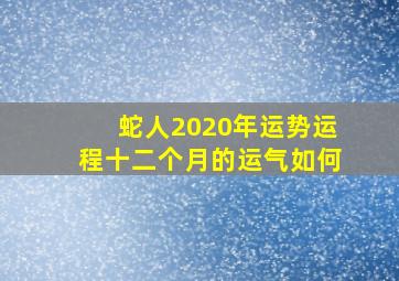 蛇人2020年运势运程十二个月的运气如何