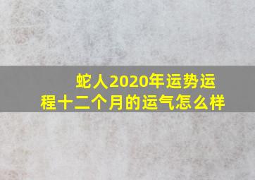 蛇人2020年运势运程十二个月的运气怎么样