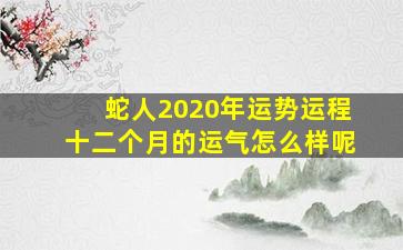 蛇人2020年运势运程十二个月的运气怎么样呢