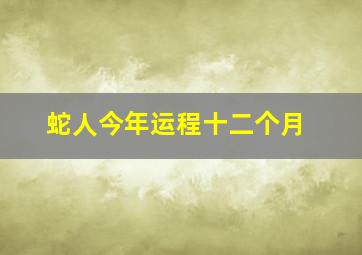 蛇人今年运程十二个月