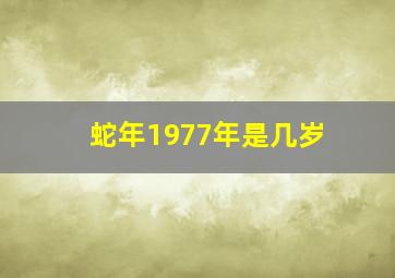 蛇年1977年是几岁