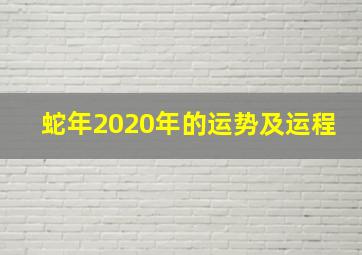 蛇年2020年的运势及运程