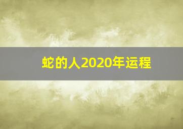 蛇的人2020年运程