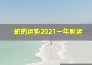 蛇的运势2021一年财运