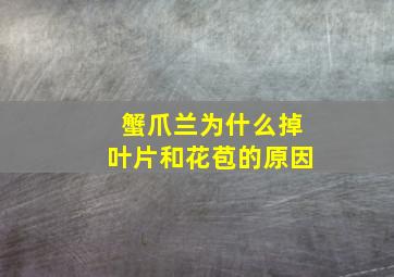 蟹爪兰为什么掉叶片和花苞的原因