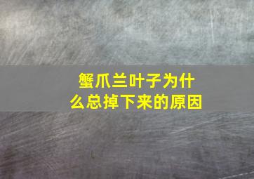 蟹爪兰叶子为什么总掉下来的原因