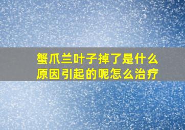 蟹爪兰叶子掉了是什么原因引起的呢怎么治疗