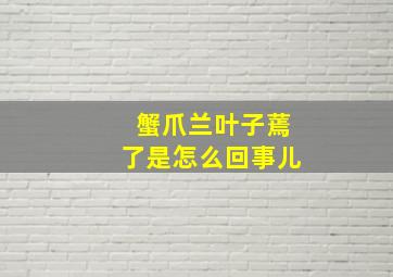 蟹爪兰叶子蔫了是怎么回事儿