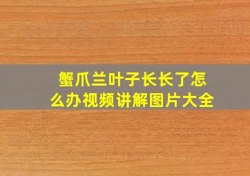 蟹爪兰叶子长长了怎么办视频讲解图片大全