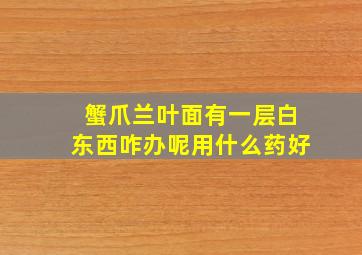 蟹爪兰叶面有一层白东西咋办呢用什么药好